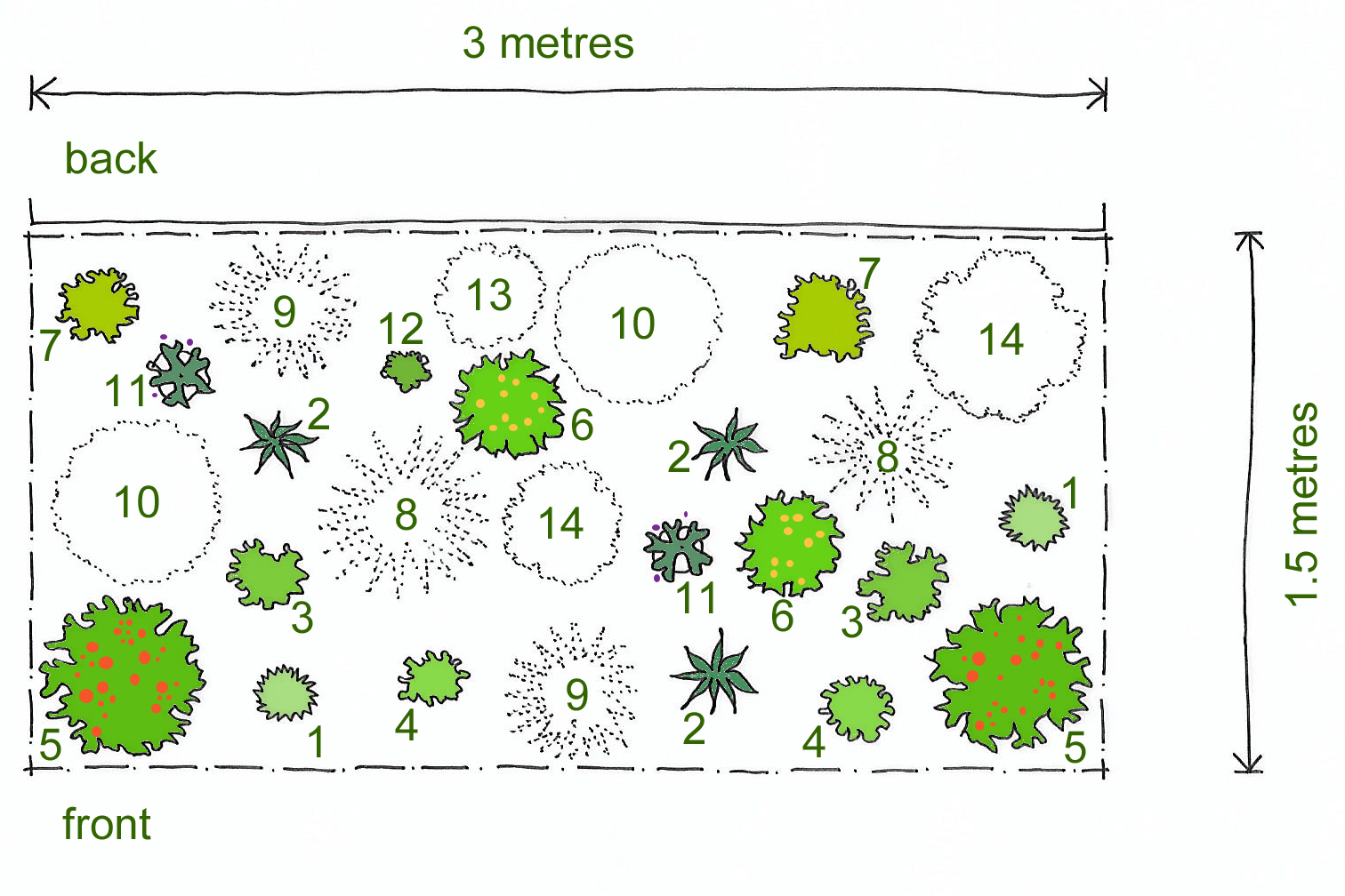 Rosy's planting plan for a Sunny Border